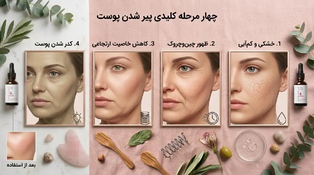 چهار مرحله کلیدی پیر شدن پوست